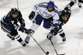 网球赛场焦点！英格兰队对阵荷兰队，超级对决，球迷热情点燃赛场-ky直播赛事